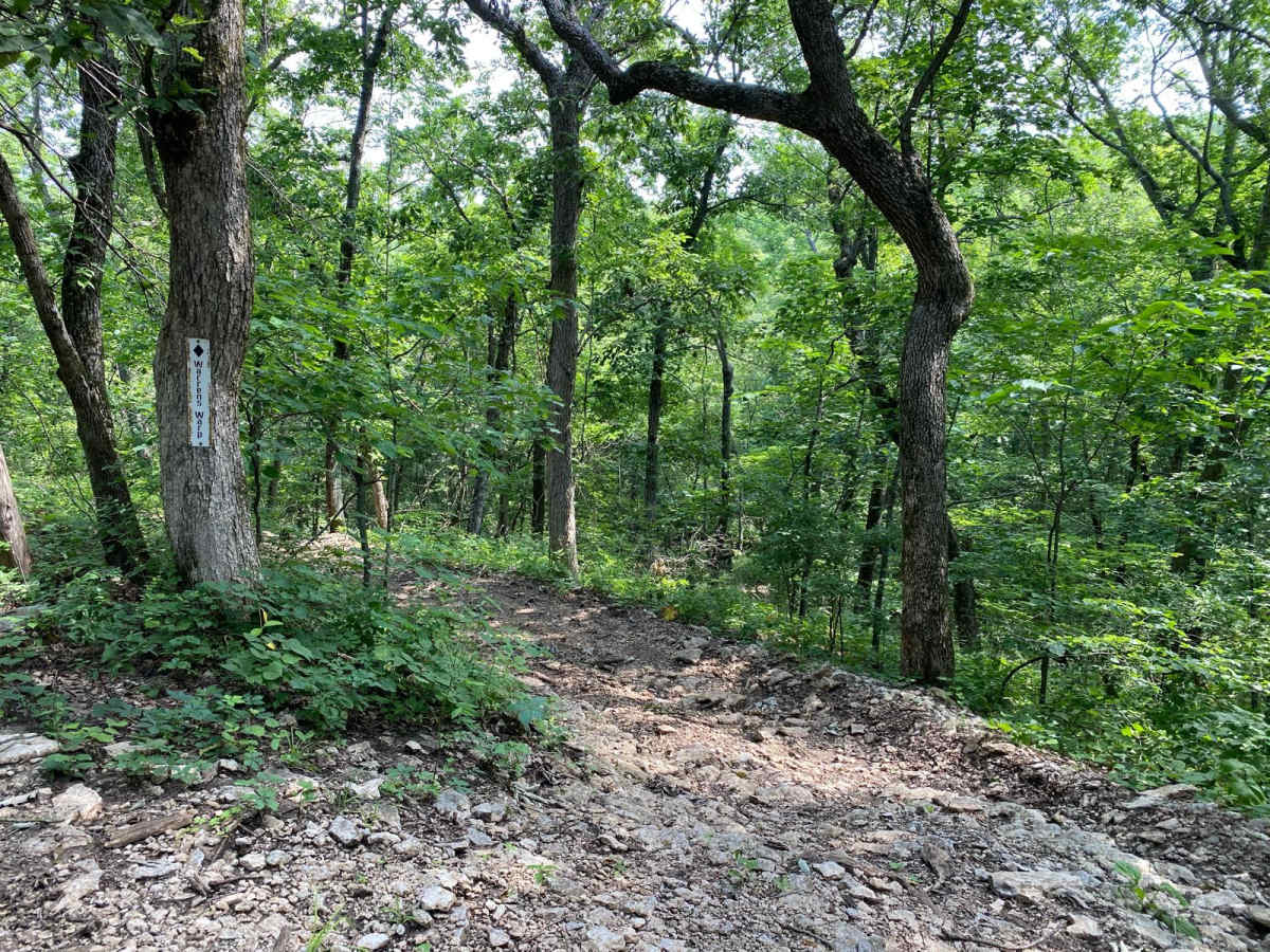 Warren's Warp photo 6