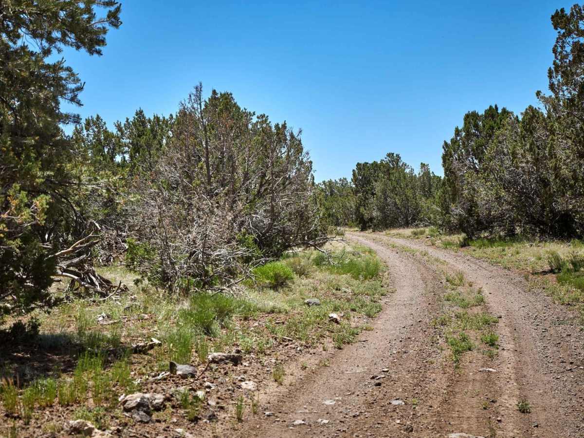 Old 84 Road photo 5