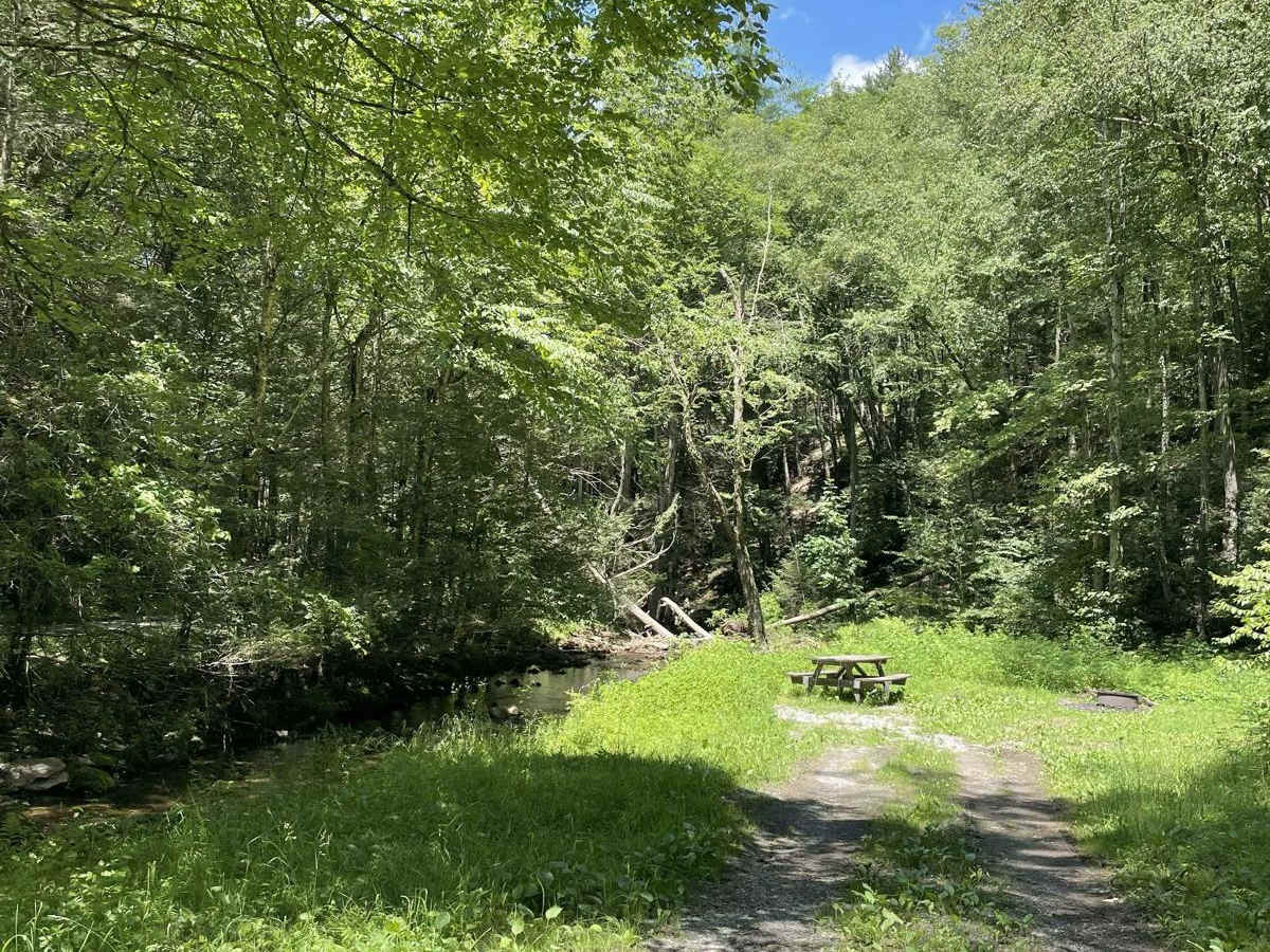 East Run Road photo 2