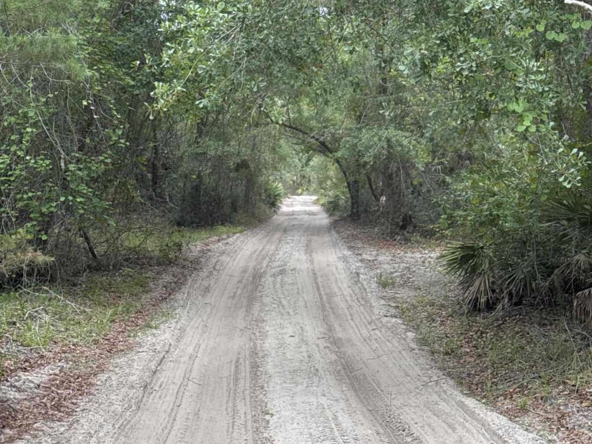 Sweet Springs - ONF 77 photo 2