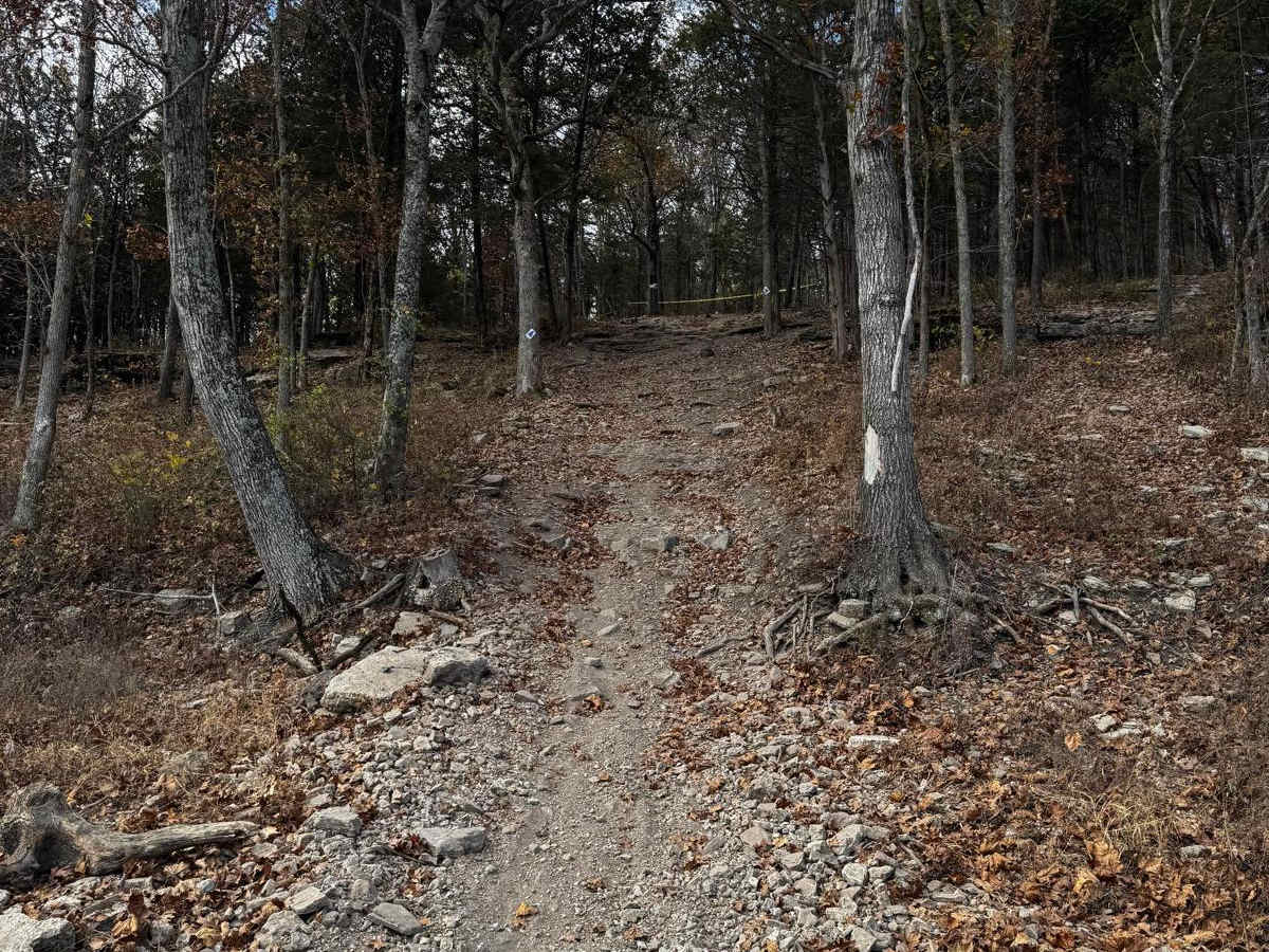 Recovery Bypass Loop photo 2