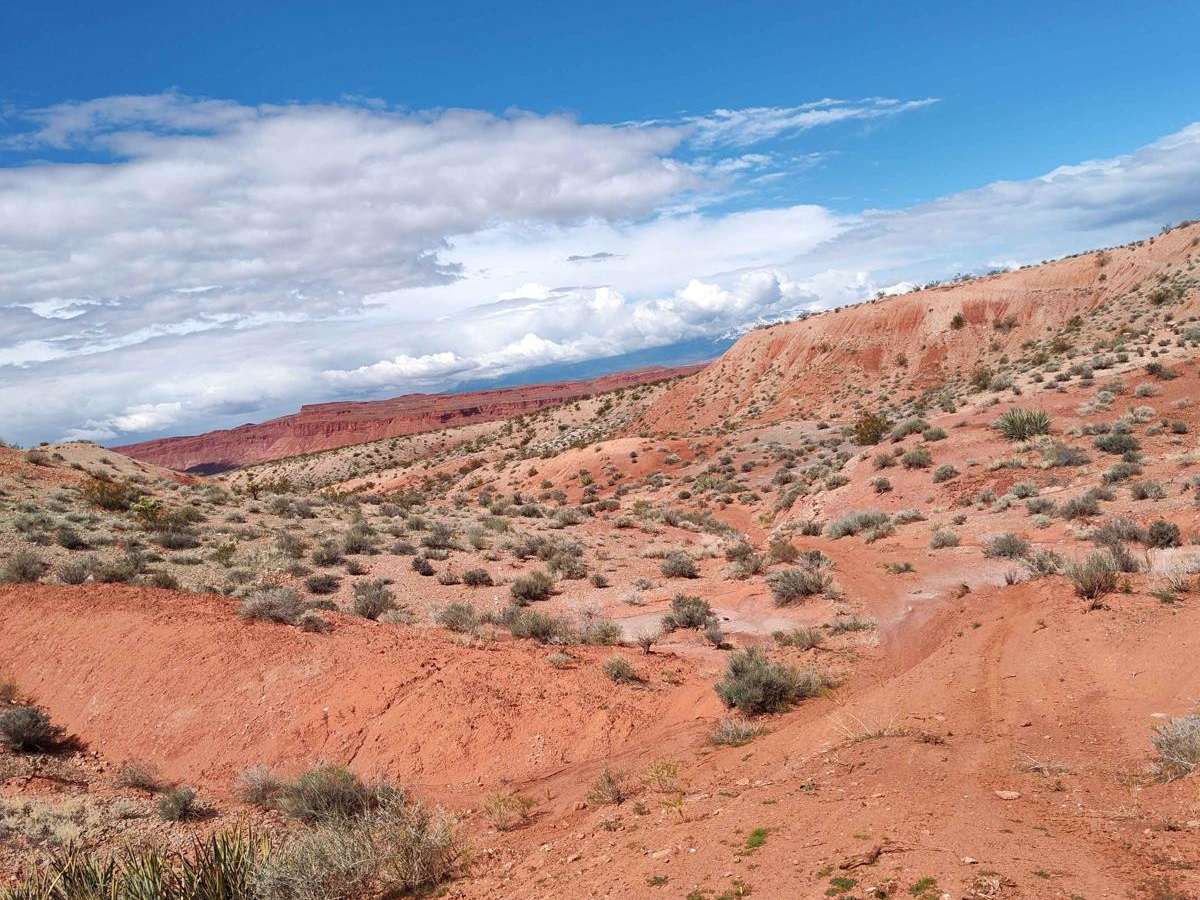 Black Rock Fun Park - Single Track photo 2