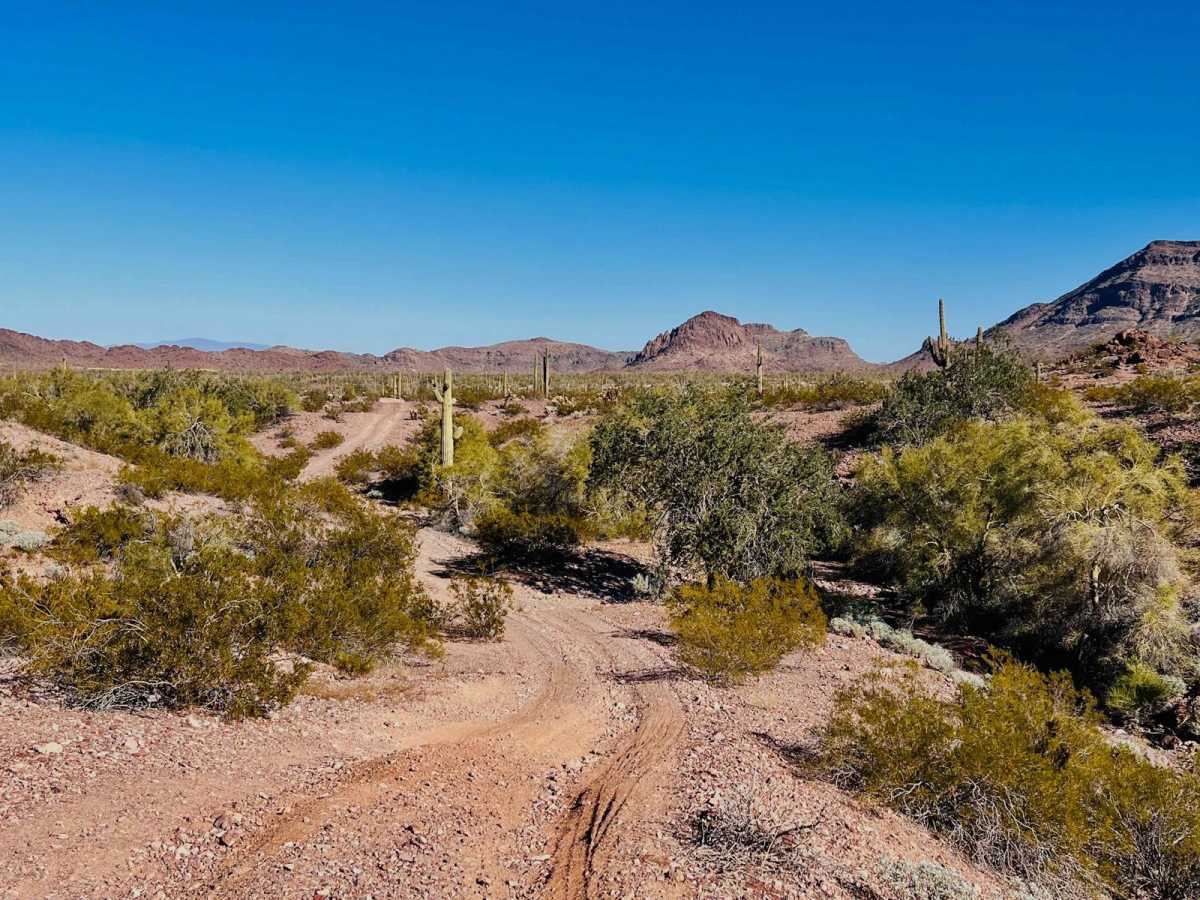 AZ Peace Trail Royal Arch Loop photo 6