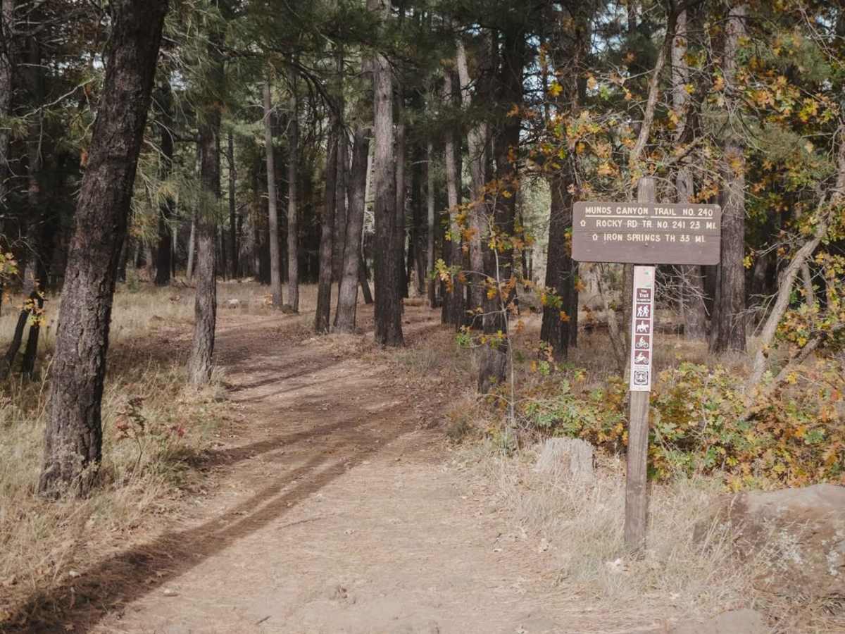 Munds Canyon photo 6