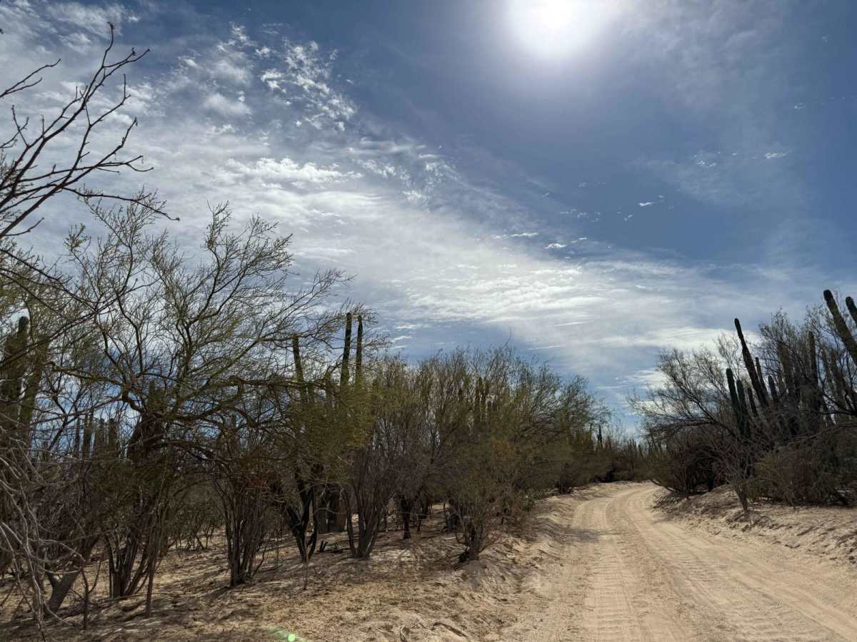South of Los Planes/ San Blas Connecting Trail photo 3