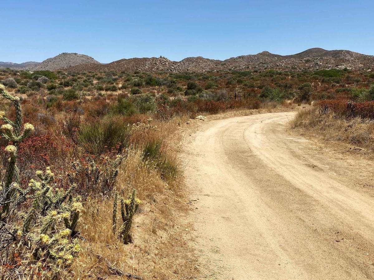 Lasso Loop photo 5
