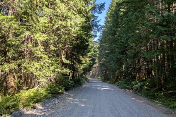 Gold River Road