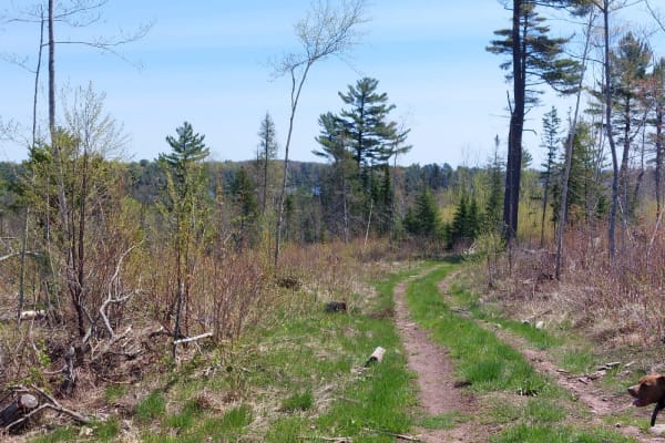 Schlatter Lake