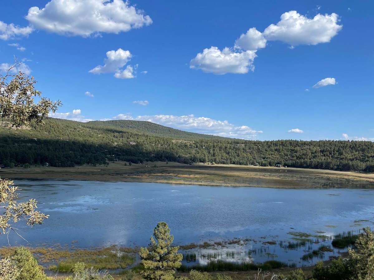 Stoneman Lake Access Road trail photo