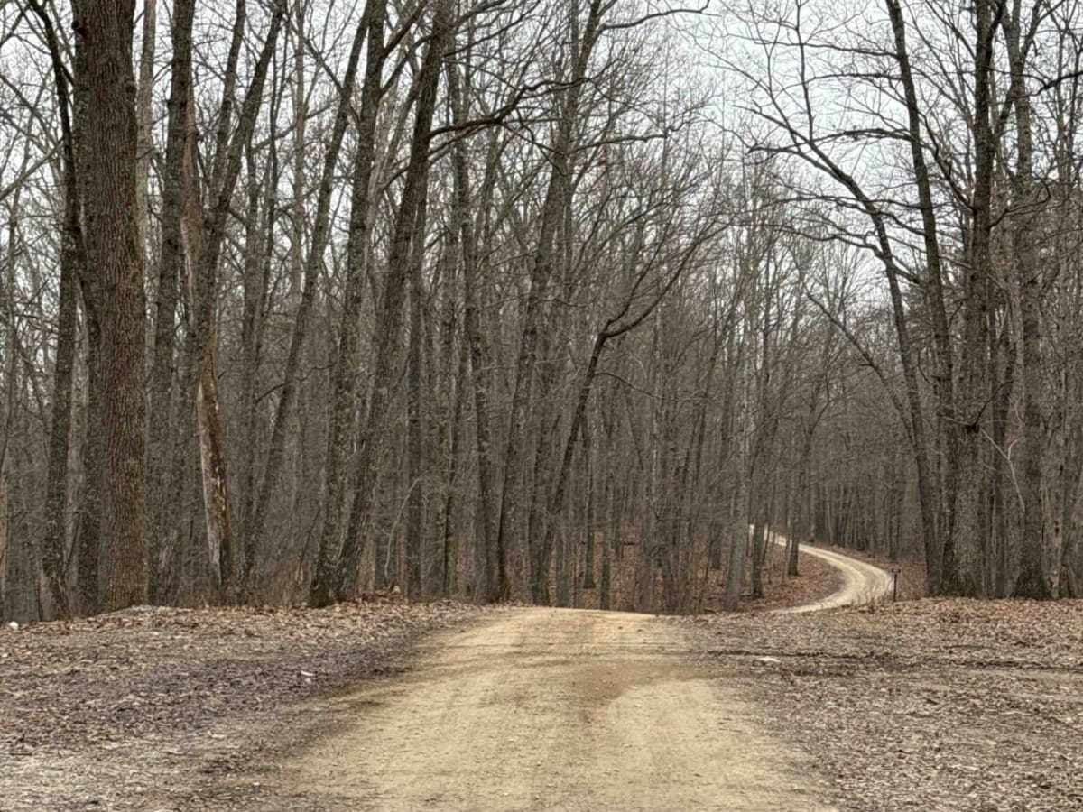 Bear Gap Road (FSR 431) photo 2