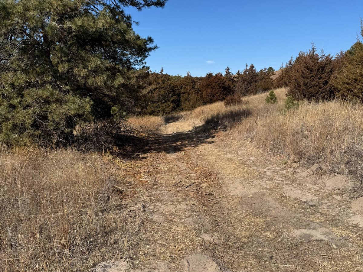 Forest Road 211 - Camp 2 Road trail photo