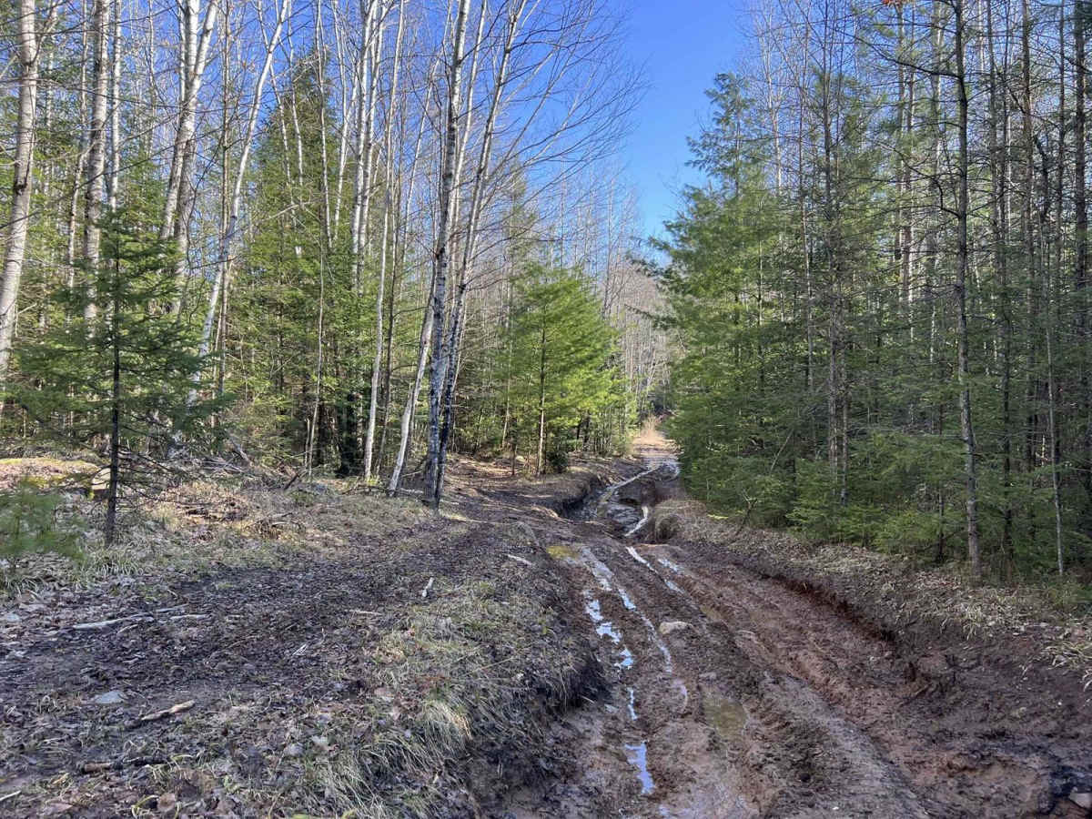 Norway Truck Trail 1 trail photo