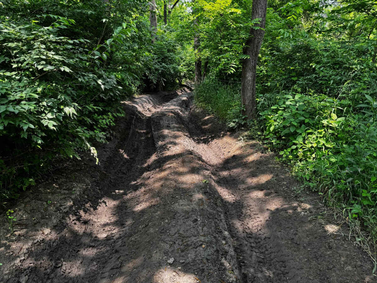 Pioneer Trail 99 photo 2