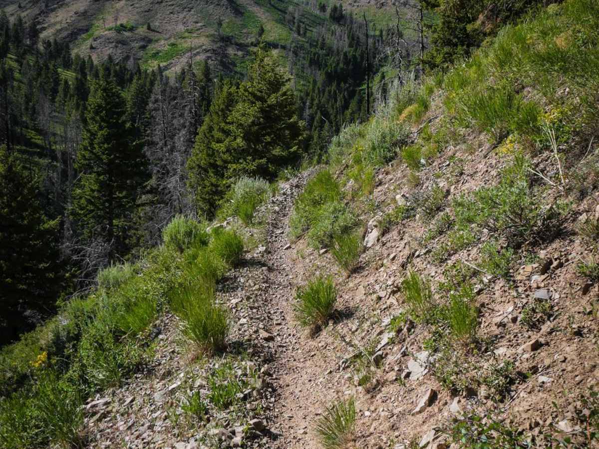 Howard's Trail photo 6