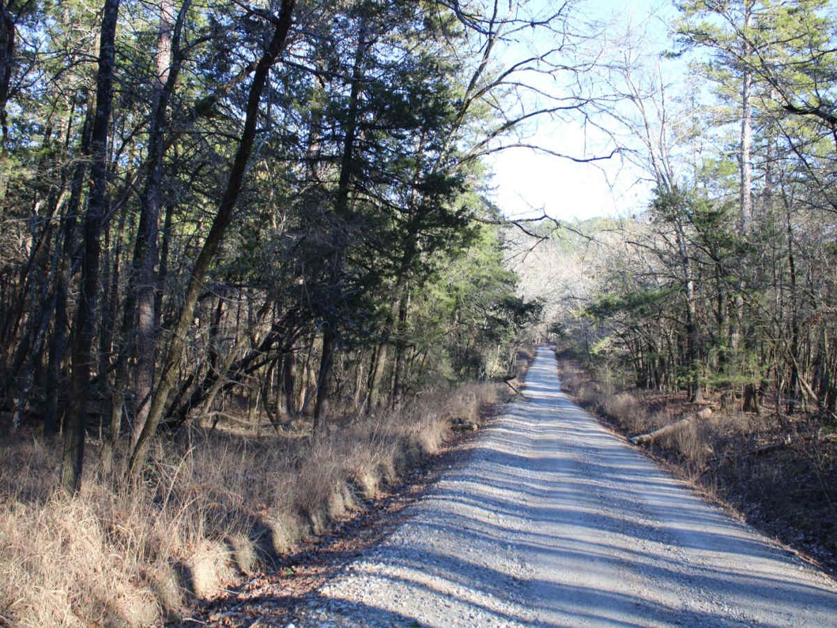 Pipe Spring photo 2