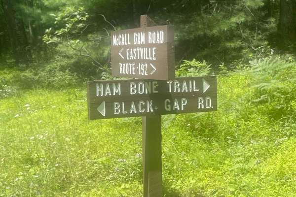 Black Gap Road