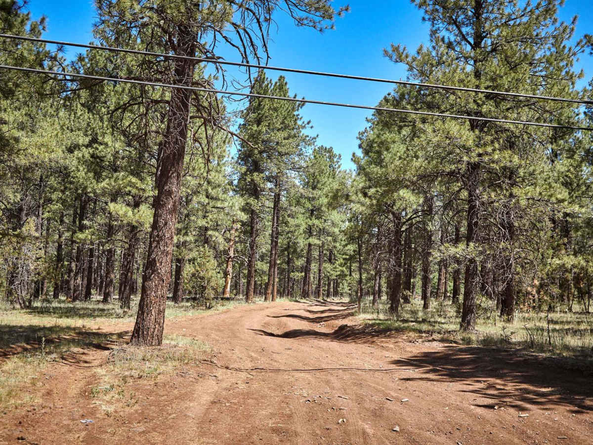 FR 116 A trail photo