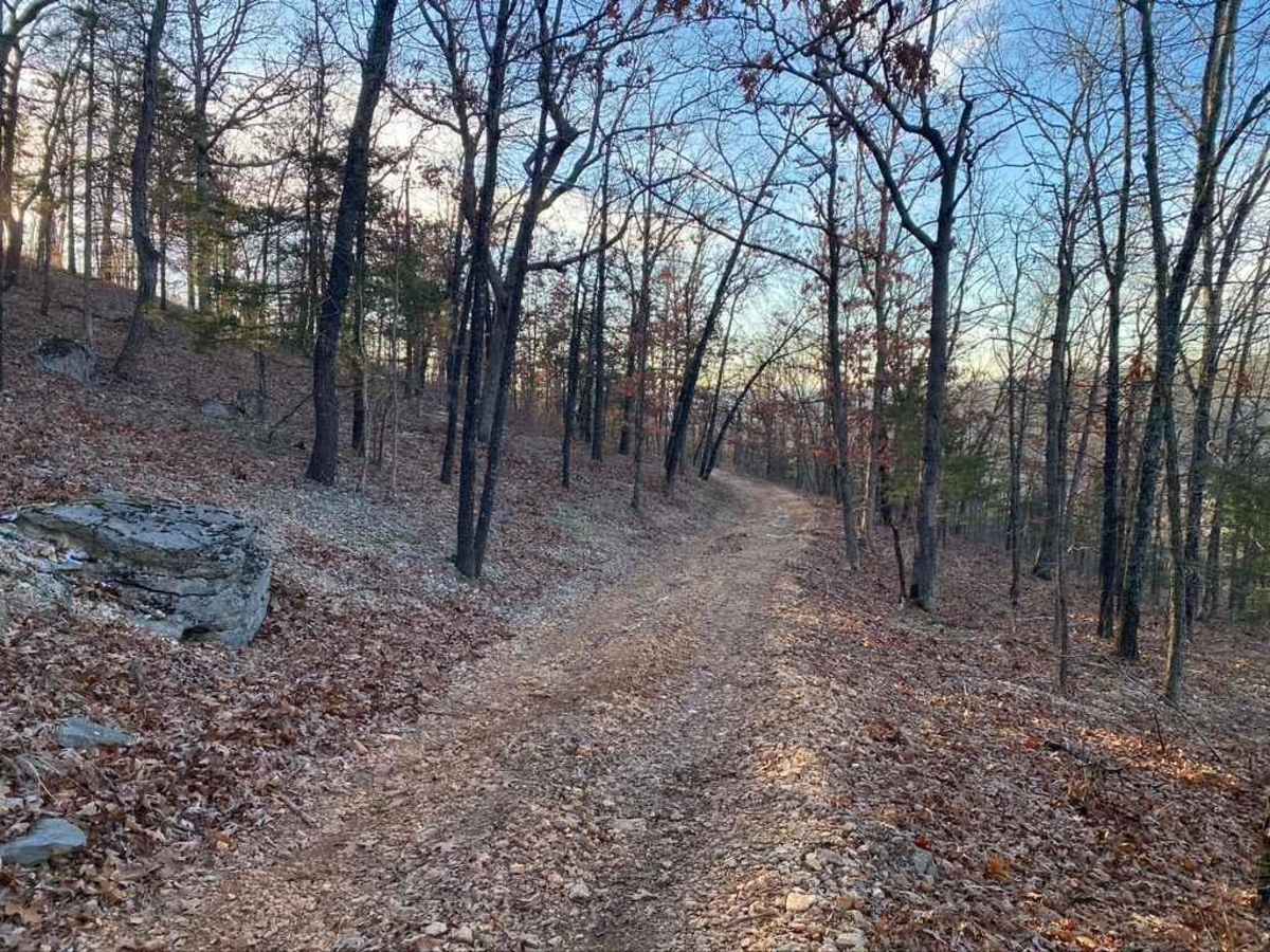 West Fork West - FS 509 photo 5