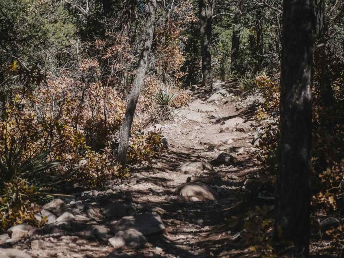 Deadman photo 4