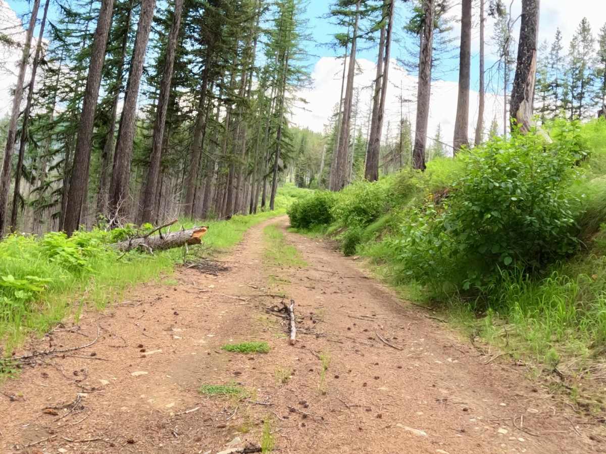 Verde Creek Road-Sunrise Road-Quartz Road photo 2