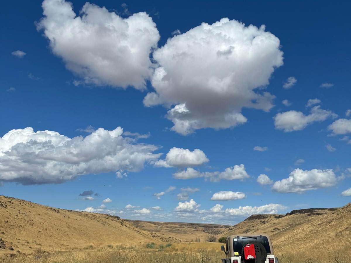 Road 19 photo 3