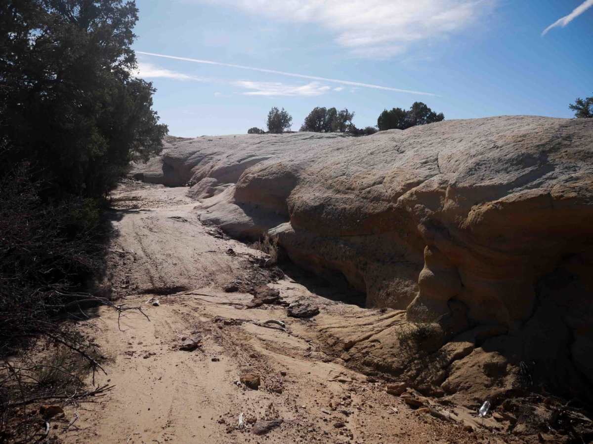 Hidden Trail photo 2
