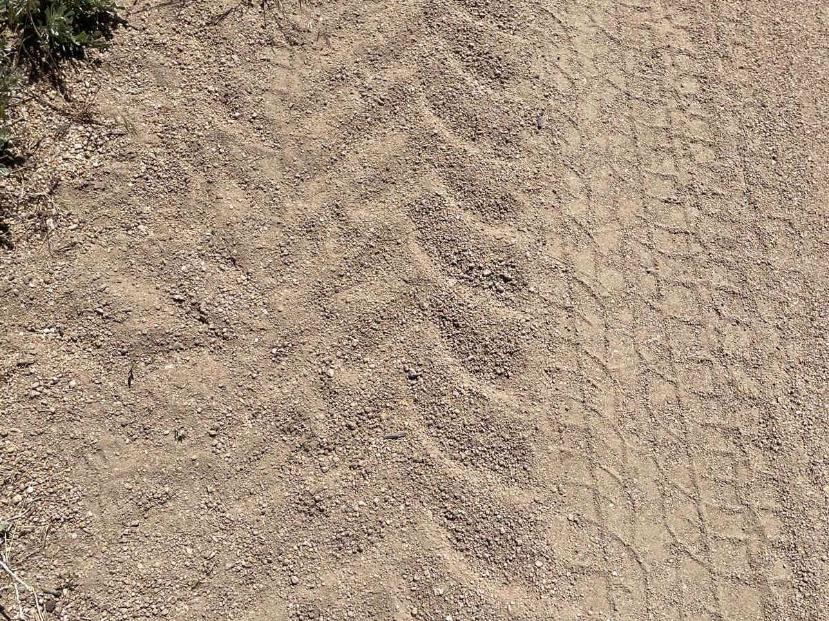 Knott Creek Reservoir North Access photo 2
