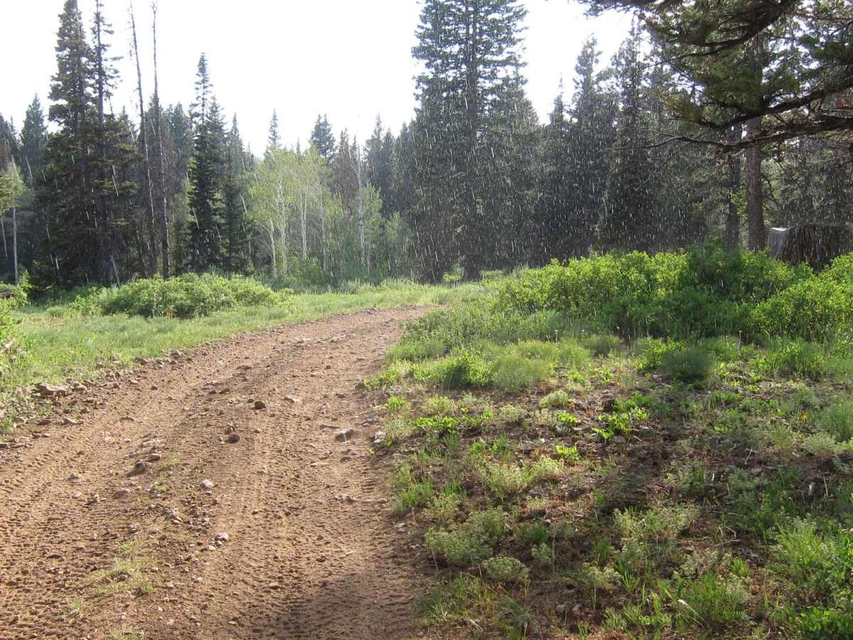 Big Creek Lake photo 6