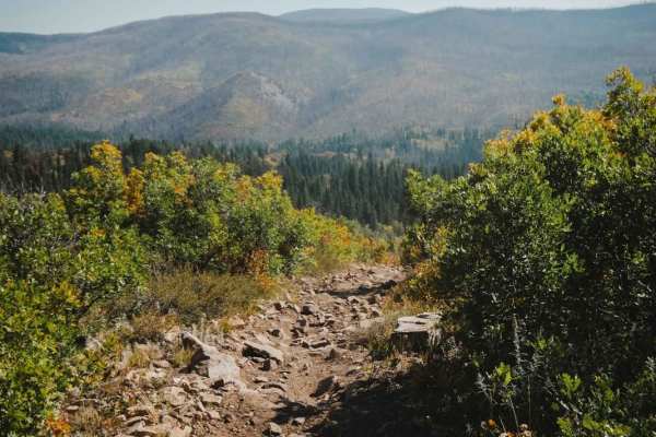 North Fork Cattle Creek Trail