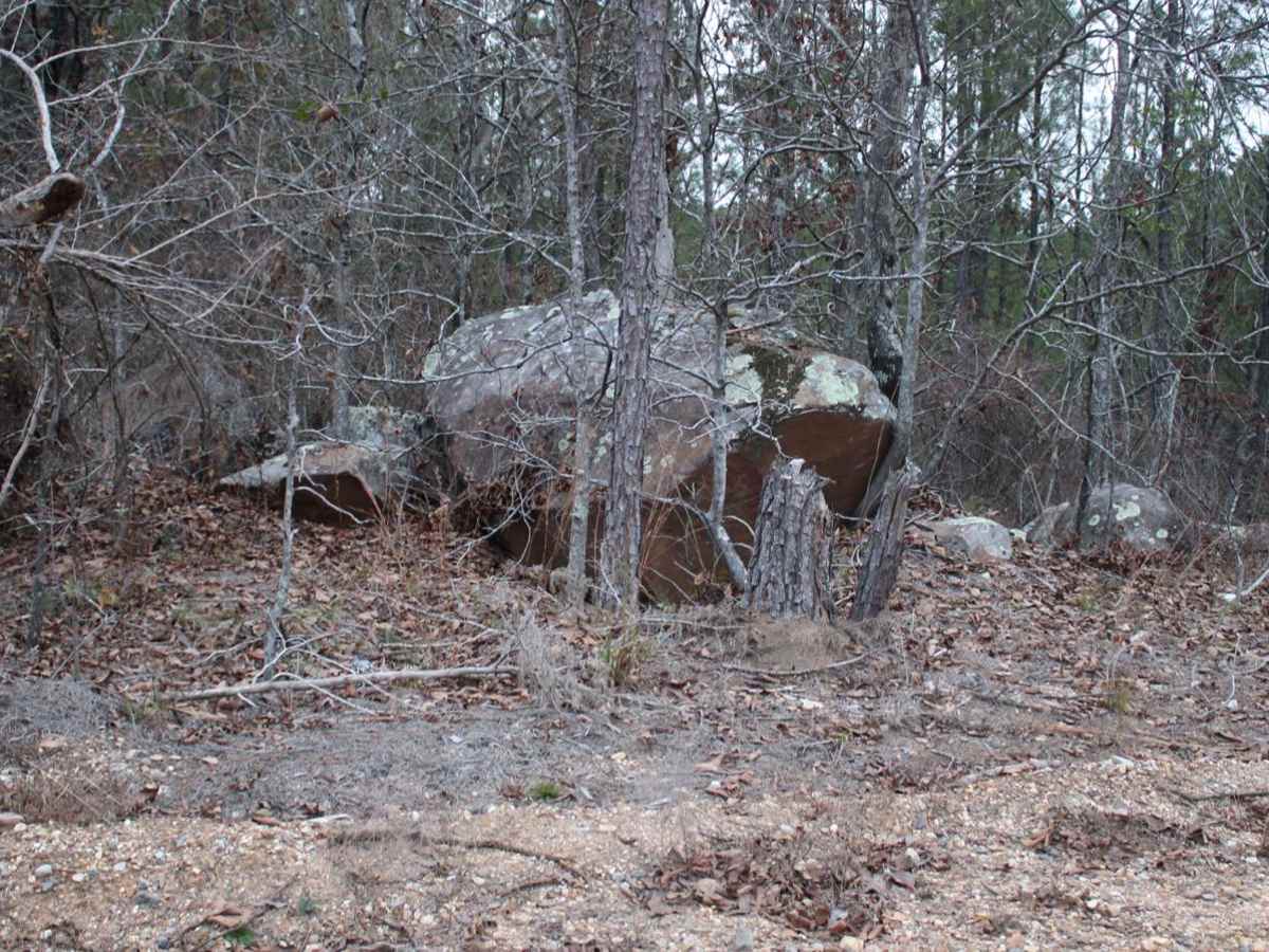 Buck Valley photo 5