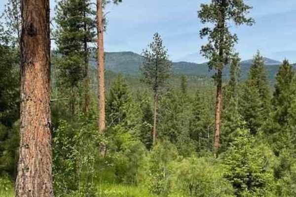 Loop Creek Road - NF 326