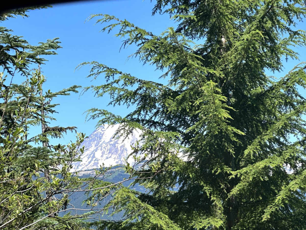 Hager Lake to Packwood Lake photo 4