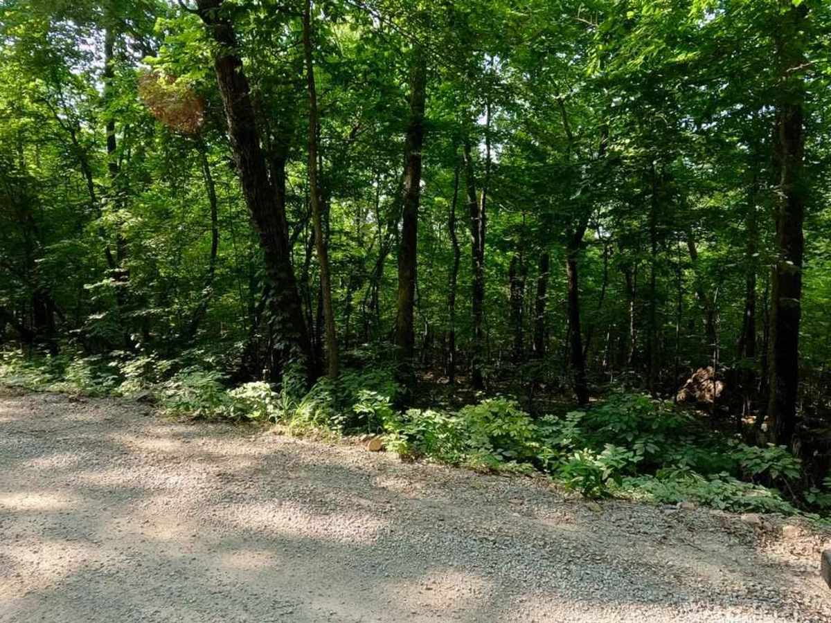 Mad-Co Road 406 photo 3