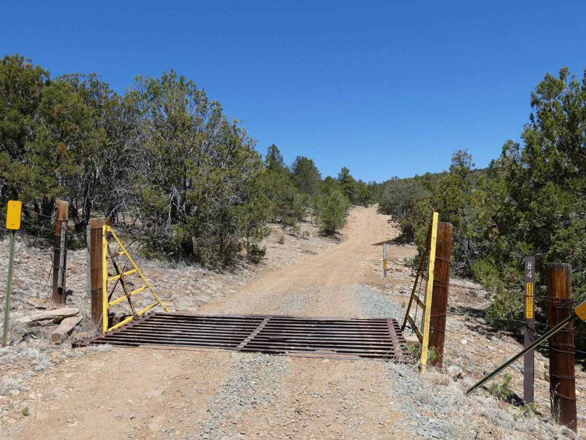Indian Divide trail photo