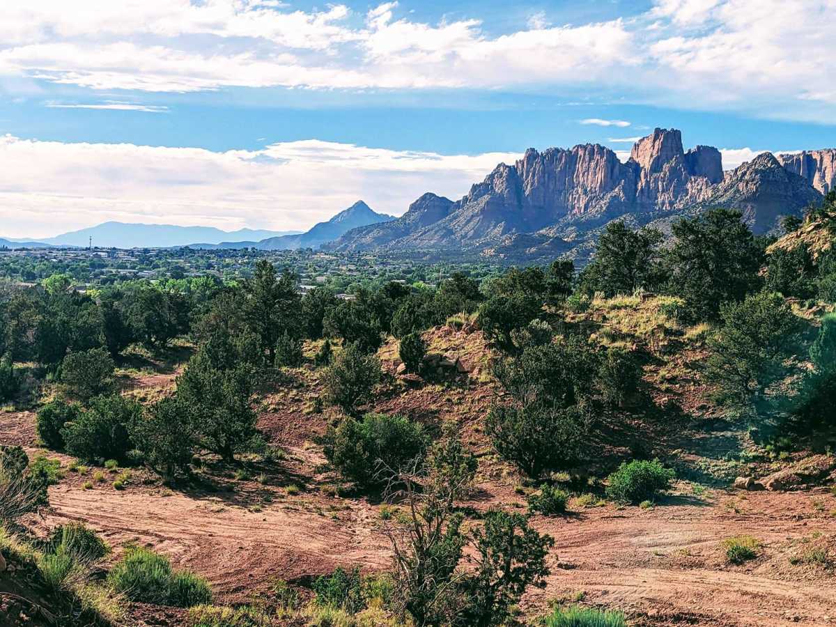 Cottonwood Point trail photo