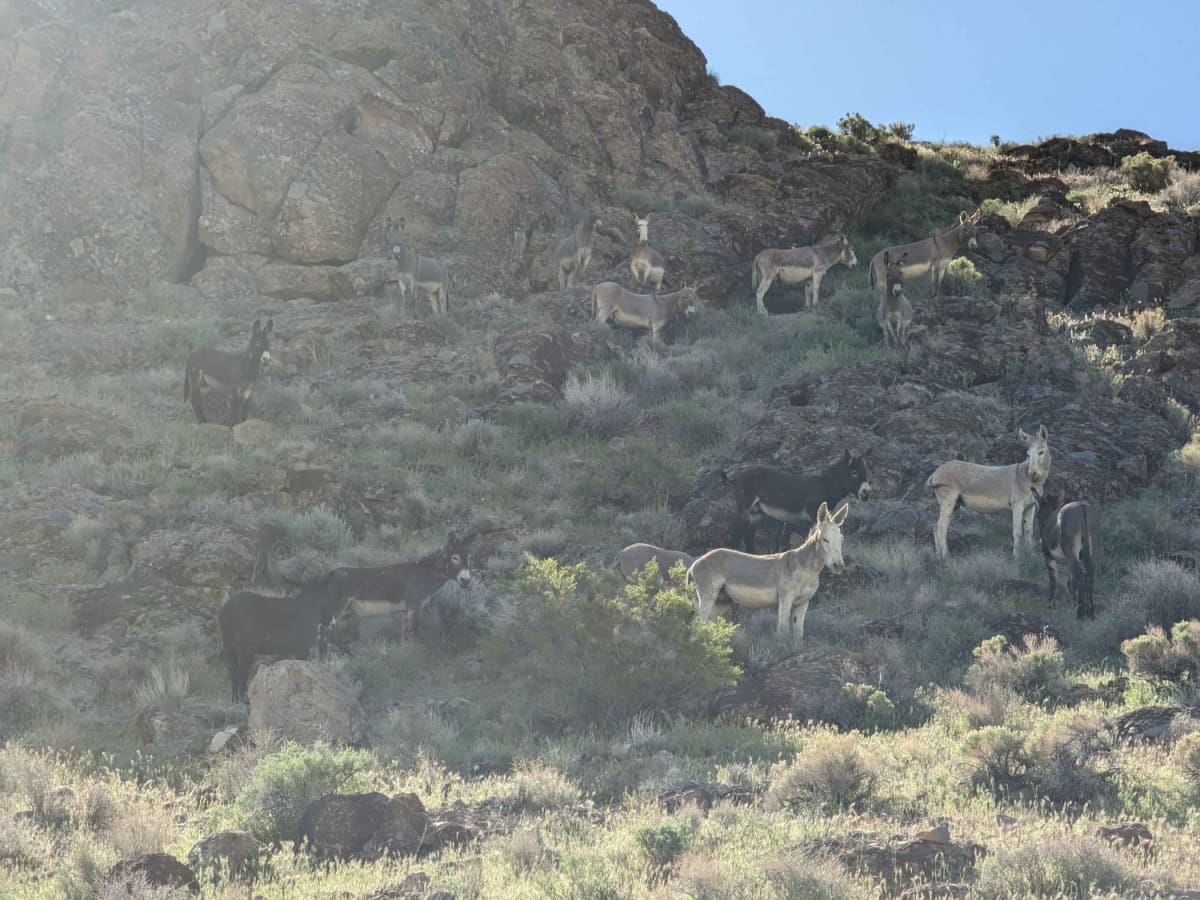 Warm Springs Canyon Road photo 5