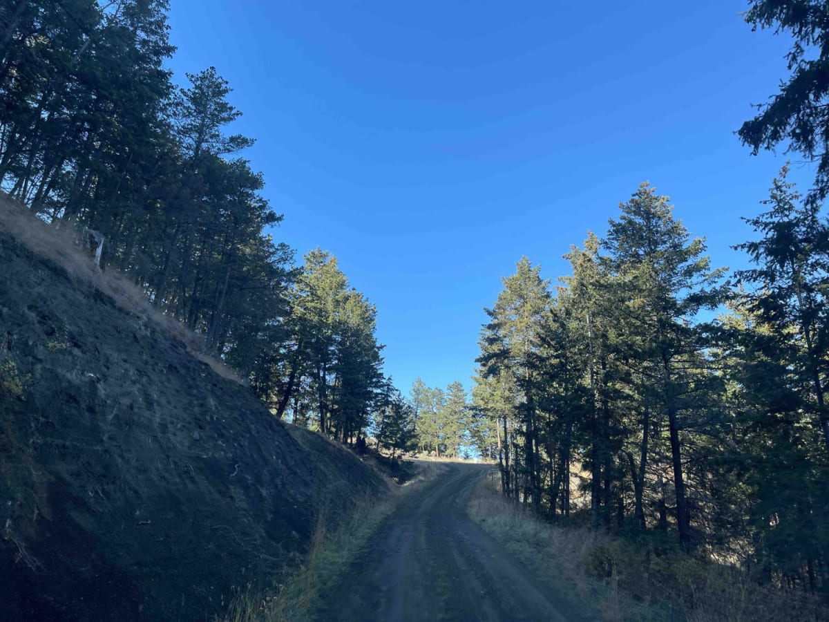 Pinaus Lake to Tuktakamin Lookout photo 2