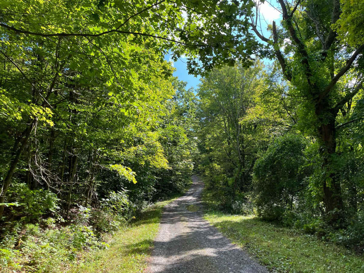Connecticut Hill Road photo 3