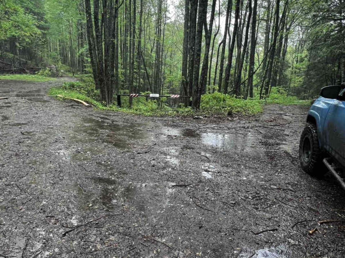 Burnette Creek - FS 261 photo 6