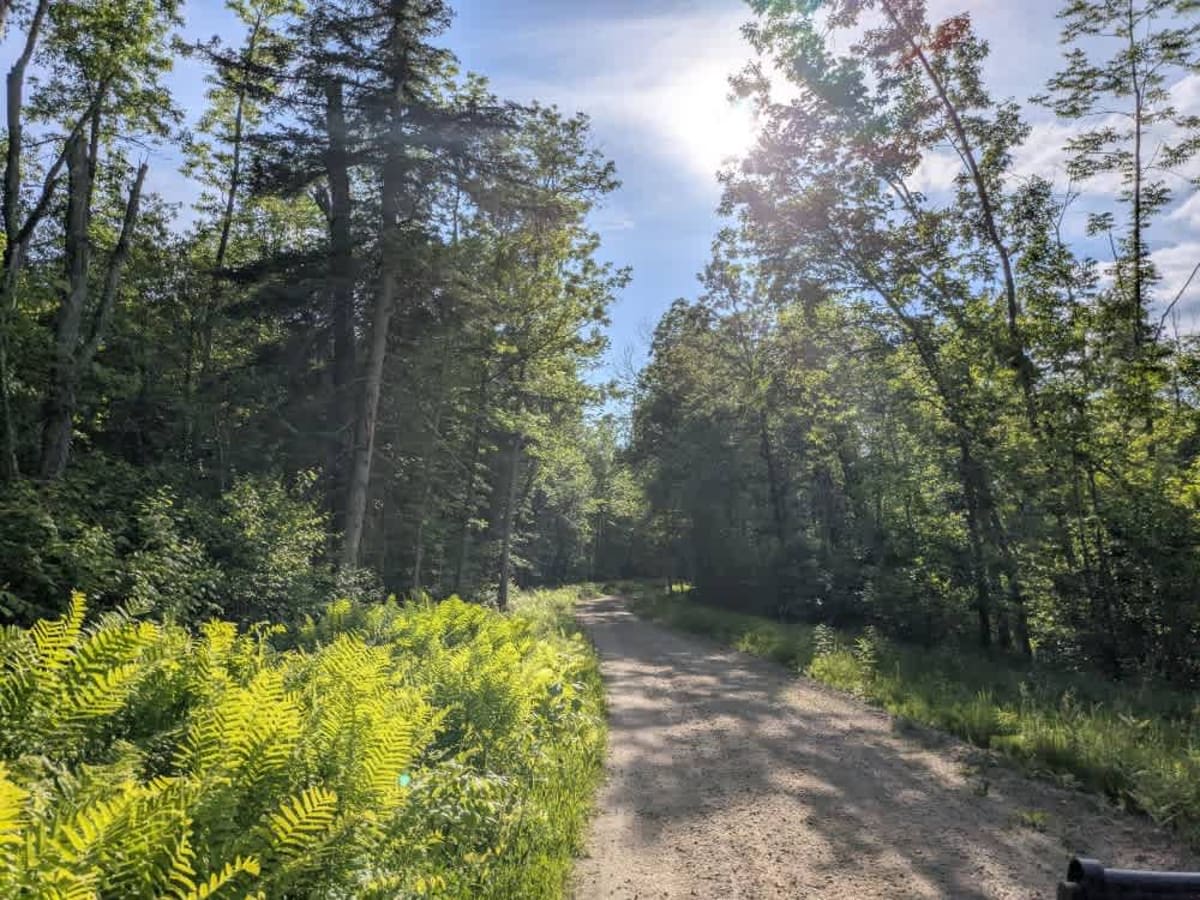 2199 trail photo