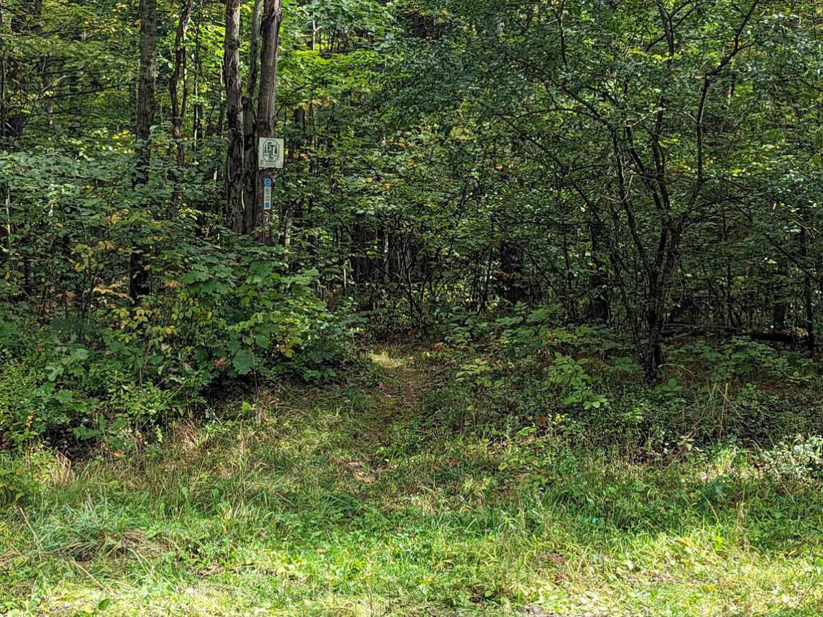Dennis Road photo 4