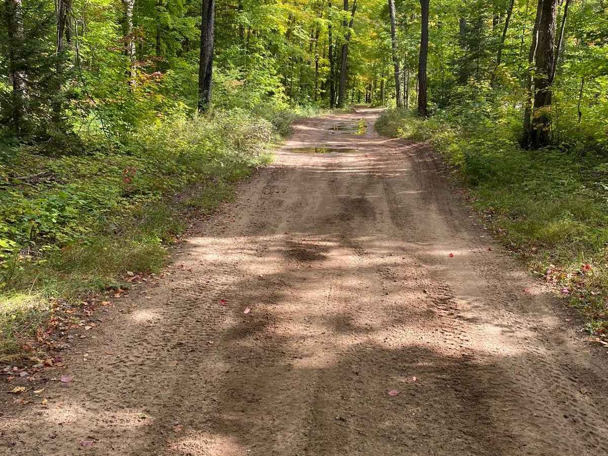 U.P. 419/Juniper Trail - Part 1 photo 2