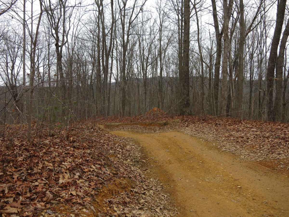Trail 4 - Short Mountain Road photo 4