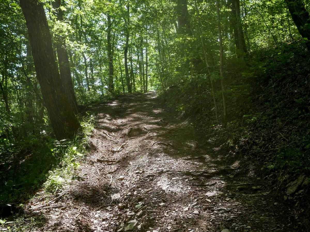 Trail 22 photo 5