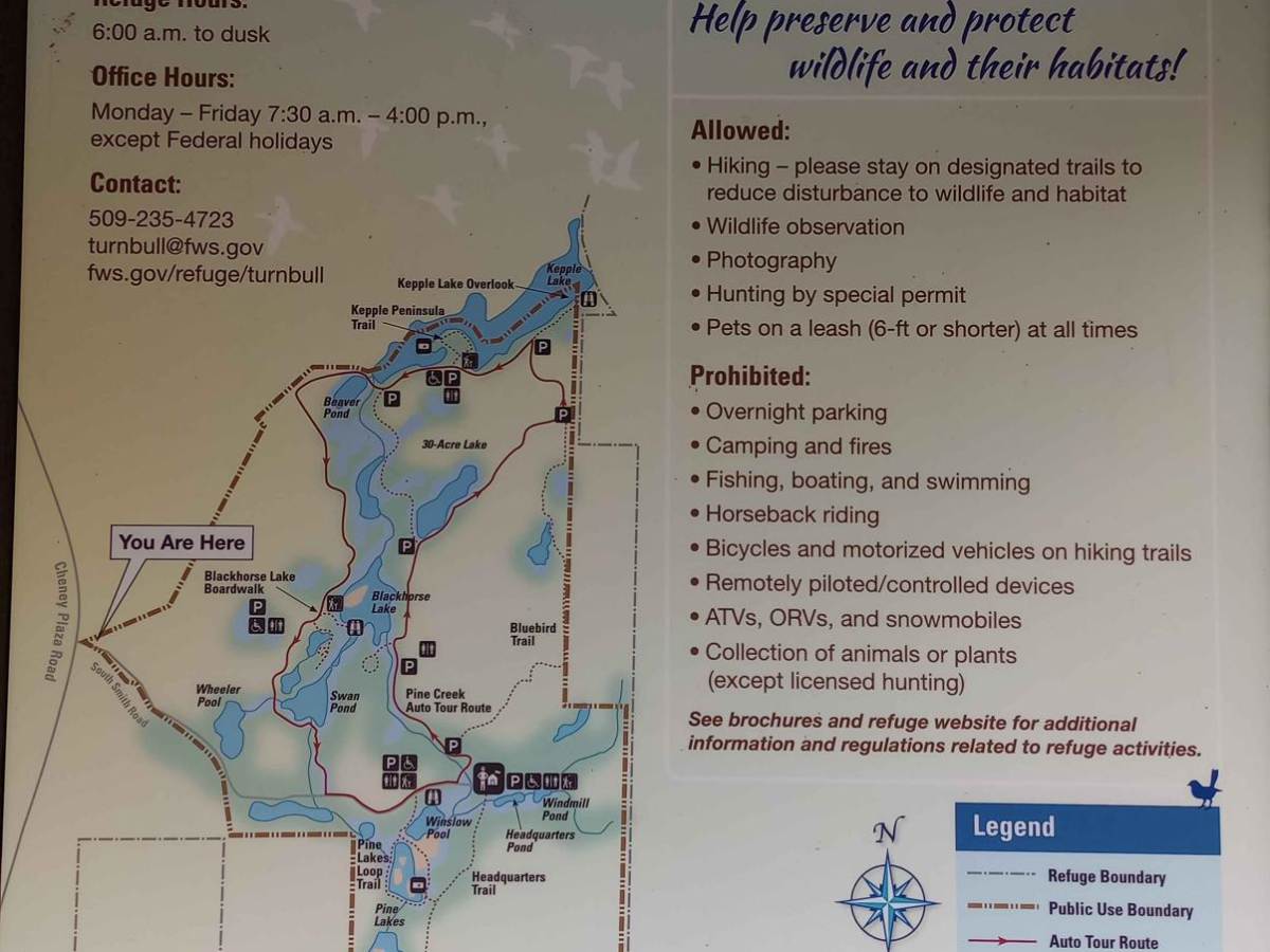 Turnbull's Pine Creek Auto Route photo 5