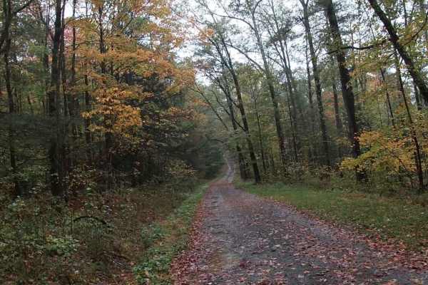 Carter Creek Road