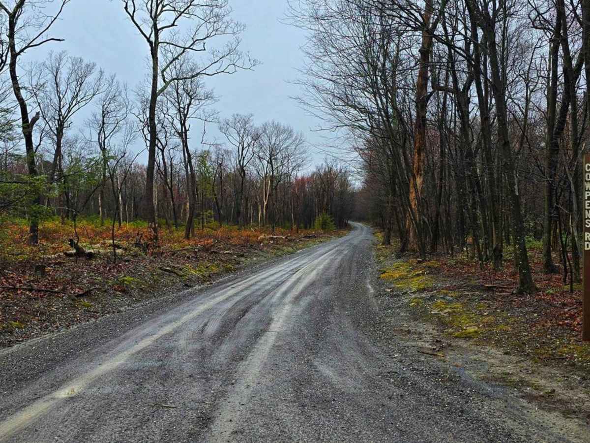 Cowpens Road trail photo