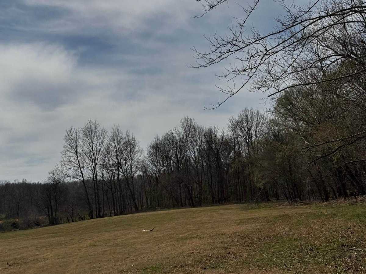 Camp Loop 7 photo 3