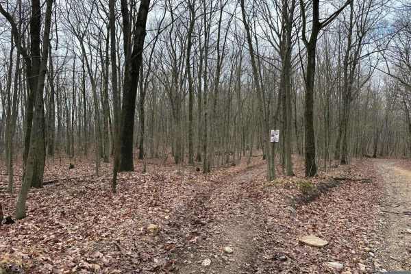 ATV Trail 67