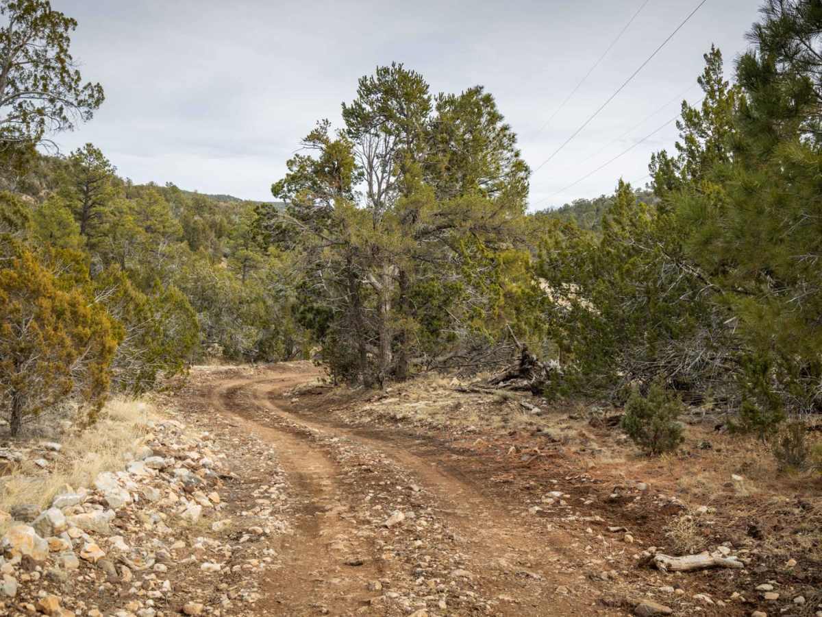 PNF-Powerline Section 2 photo 3